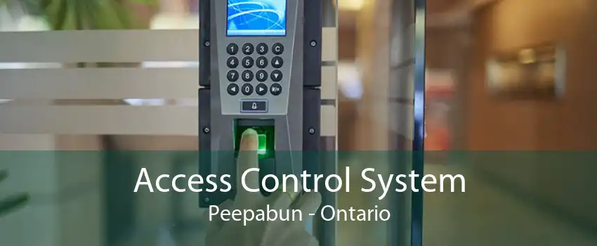 Access Control System Peepabun - Ontario