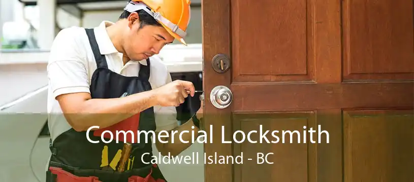 Commercial Locksmith Caldwell Island - BC