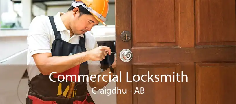 Commercial Locksmith Craigdhu - AB
