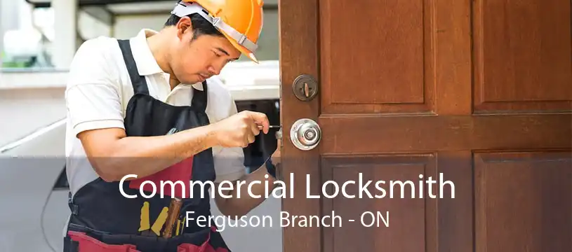 Commercial Locksmith Ferguson Branch - ON