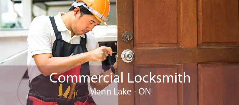 Commercial Locksmith Mann Lake - ON