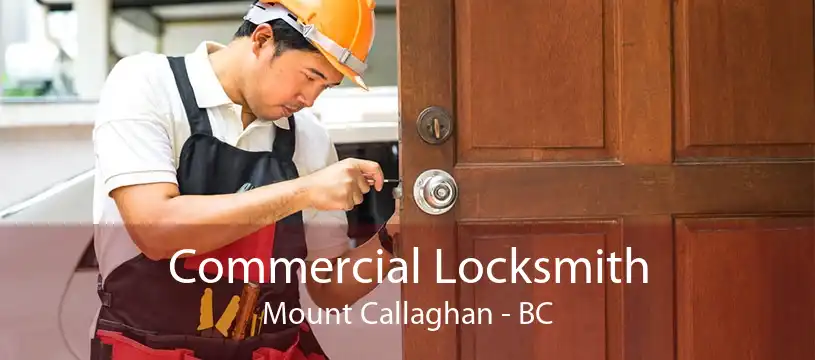Commercial Locksmith Mount Callaghan - BC