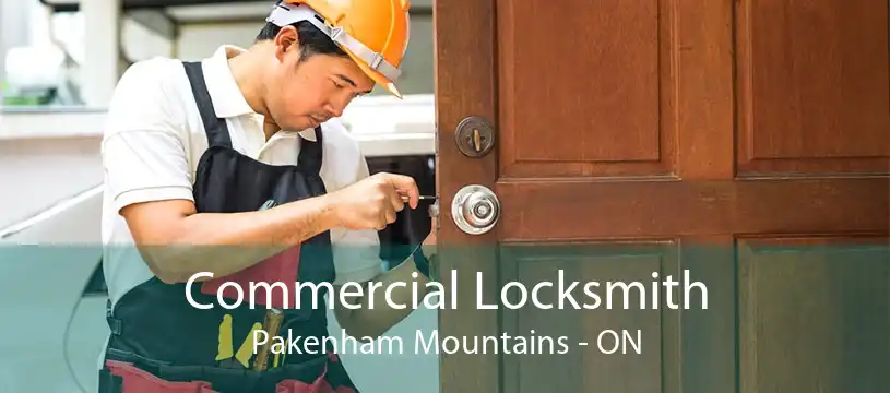 Commercial Locksmith Pakenham Mountains - ON