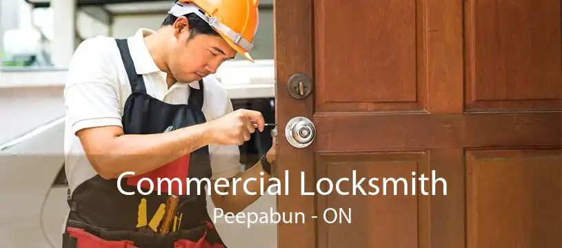 Commercial Locksmith Peepabun - ON