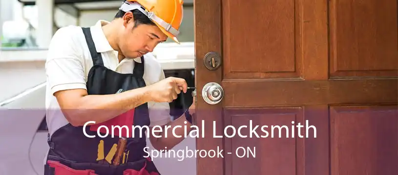 Commercial Locksmith Springbrook - ON