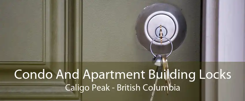 Condo And Apartment Building Locks Caligo Peak - British Columbia
