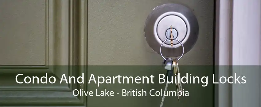 Condo And Apartment Building Locks Olive Lake - British Columbia