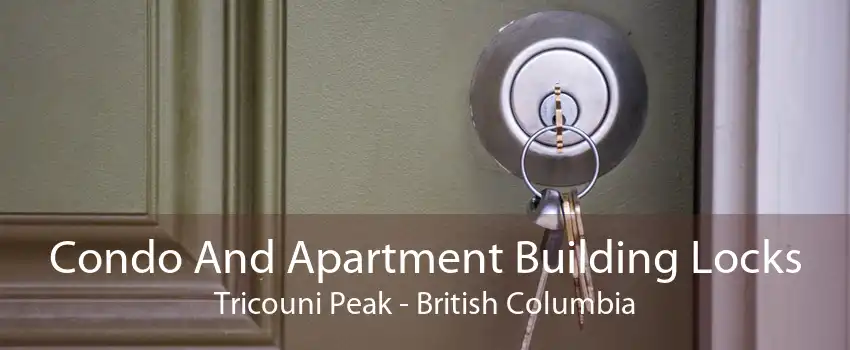 Condo And Apartment Building Locks Tricouni Peak - British Columbia