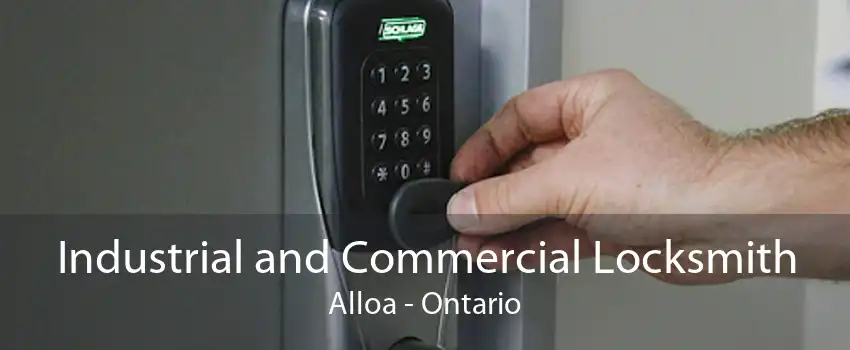 Industrial and Commercial Locksmith Alloa - Ontario
