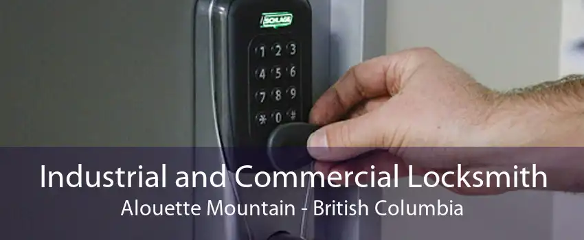 Industrial and Commercial Locksmith Alouette Mountain - British Columbia