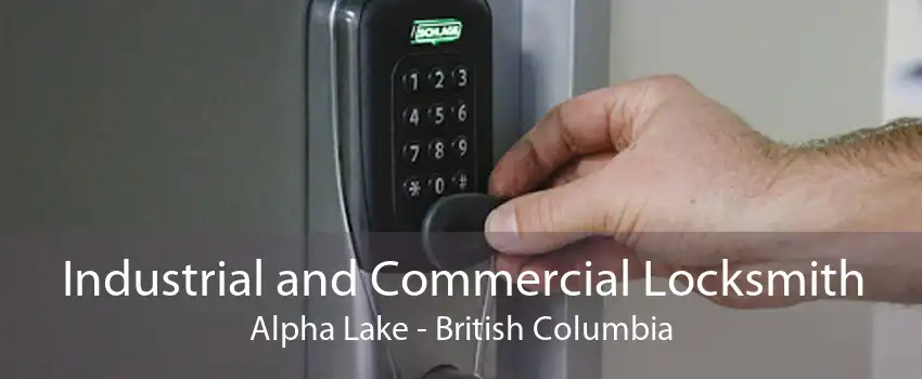 Industrial and Commercial Locksmith Alpha Lake - British Columbia