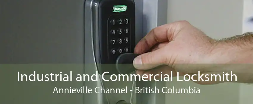 Industrial and Commercial Locksmith Annieville Channel - British Columbia