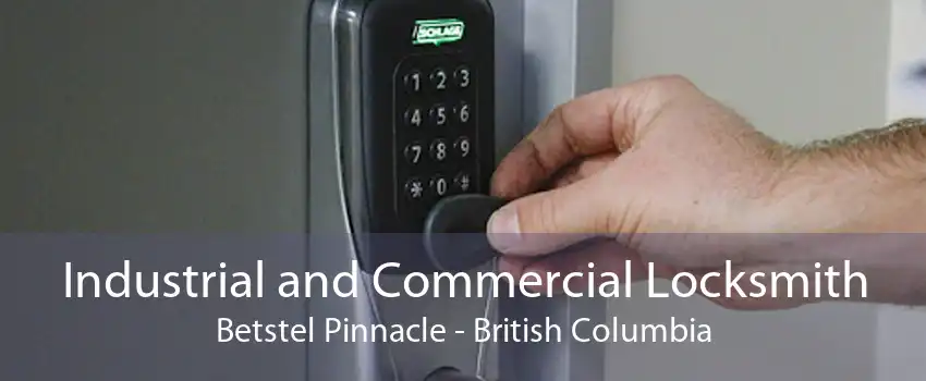 Industrial and Commercial Locksmith Betstel Pinnacle - British Columbia