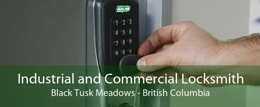 Industrial and Commercial Locksmith Black Tusk Meadows - British Columbia