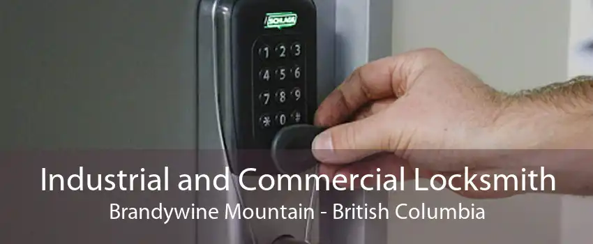 Industrial and Commercial Locksmith Brandywine Mountain - British Columbia