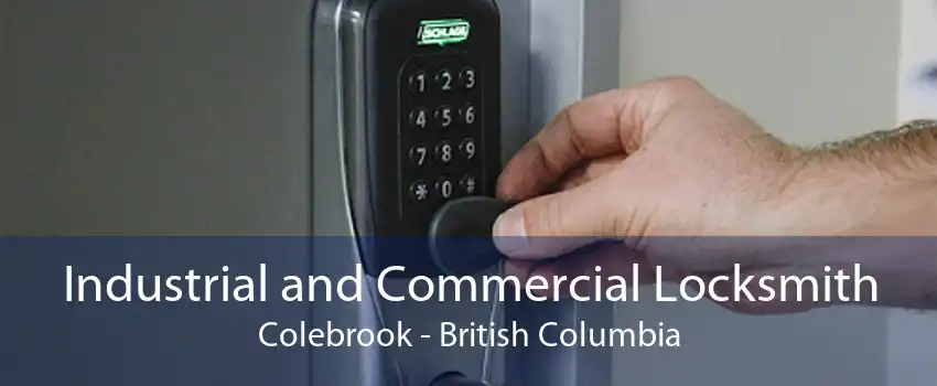 Industrial and Commercial Locksmith Colebrook - British Columbia