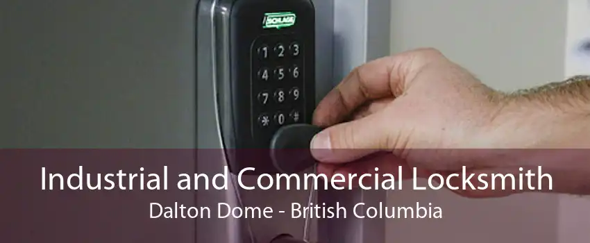 Industrial and Commercial Locksmith Dalton Dome - British Columbia