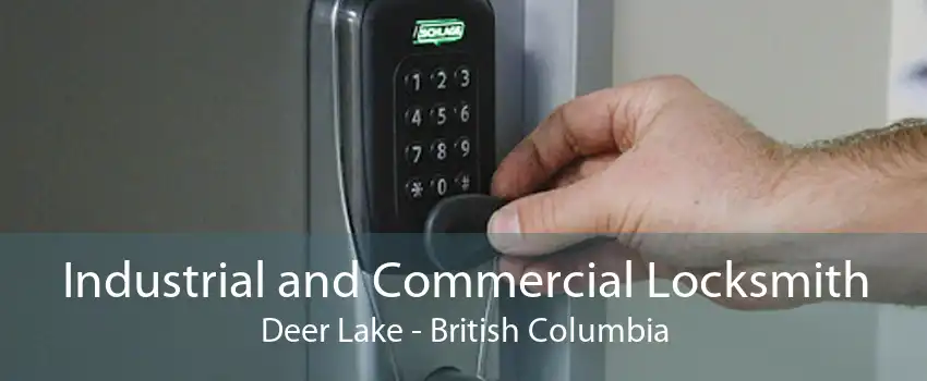 Industrial and Commercial Locksmith Deer Lake - British Columbia