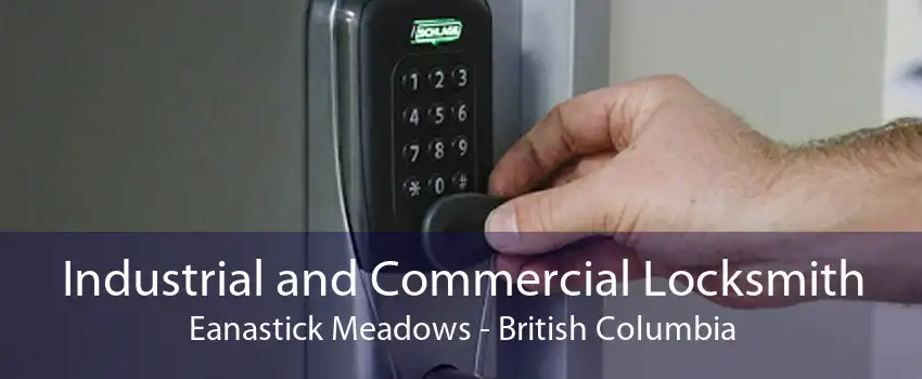 Industrial and Commercial Locksmith Eanastick Meadows - British Columbia