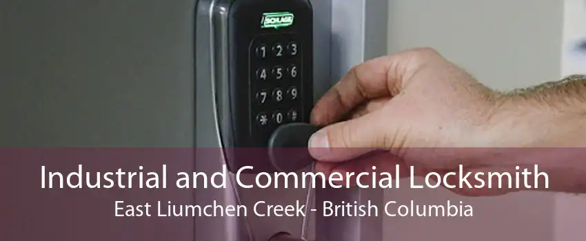 Industrial and Commercial Locksmith East Liumchen Creek - British Columbia
