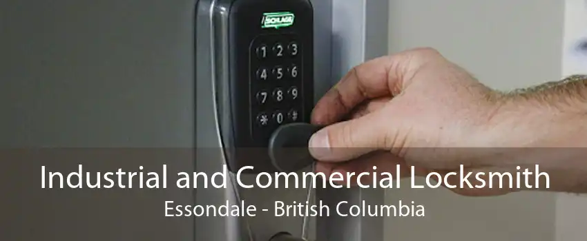 Industrial and Commercial Locksmith Essondale - British Columbia