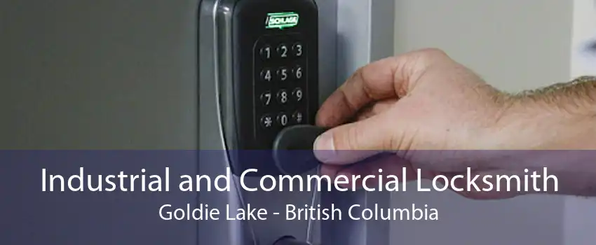 Industrial and Commercial Locksmith Goldie Lake - British Columbia