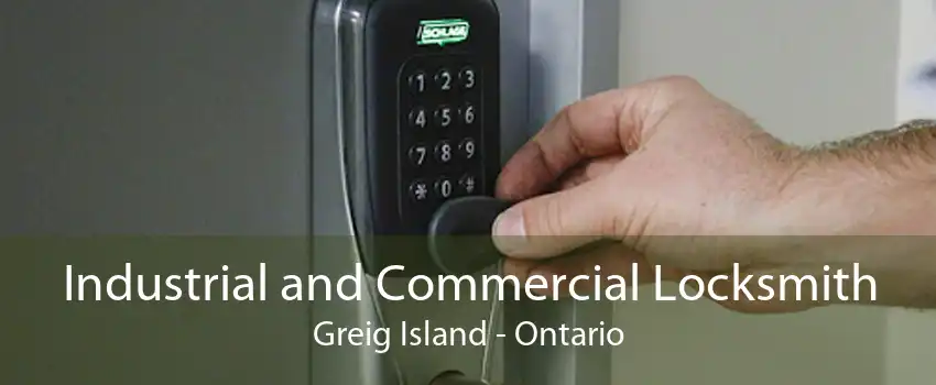 Industrial and Commercial Locksmith Greig Island - Ontario