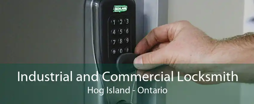 Industrial and Commercial Locksmith Hog Island - Ontario