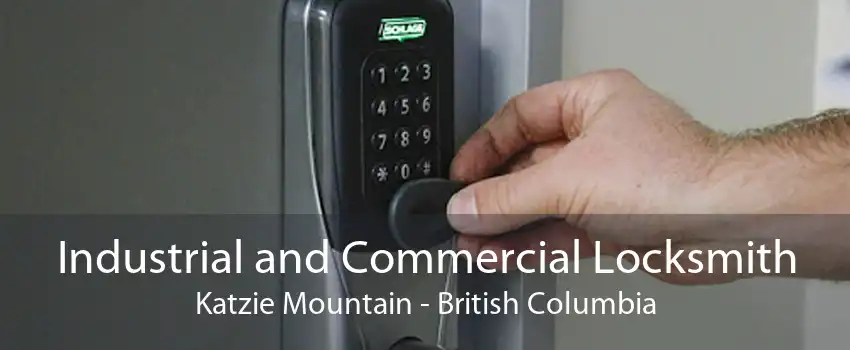 Industrial and Commercial Locksmith Katzie Mountain - British Columbia