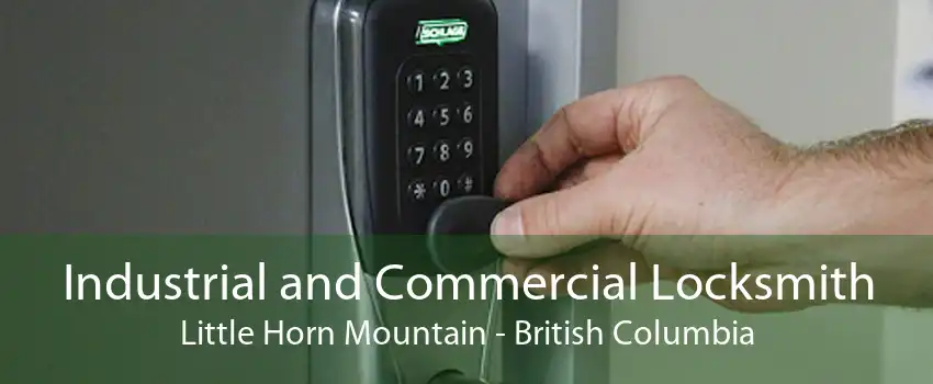 Industrial and Commercial Locksmith Little Horn Mountain - British Columbia