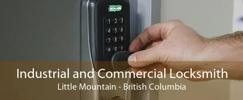 Industrial and Commercial Locksmith Little Mountain - British Columbia