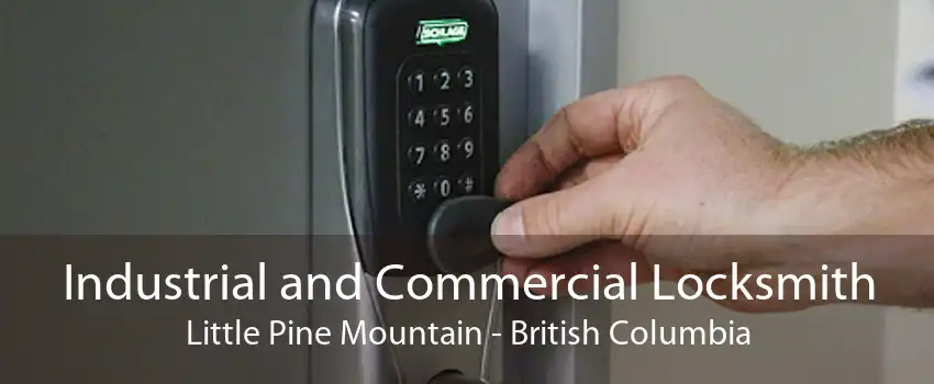 Industrial and Commercial Locksmith Little Pine Mountain - British Columbia