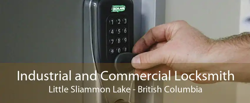 Industrial and Commercial Locksmith Little Sliammon Lake - British Columbia
