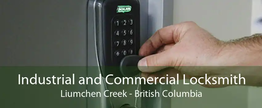 Industrial and Commercial Locksmith Liumchen Creek - British Columbia