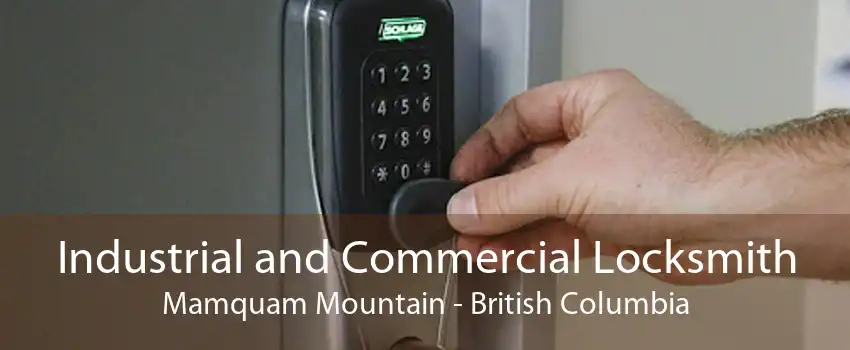 Industrial and Commercial Locksmith Mamquam Mountain - British Columbia