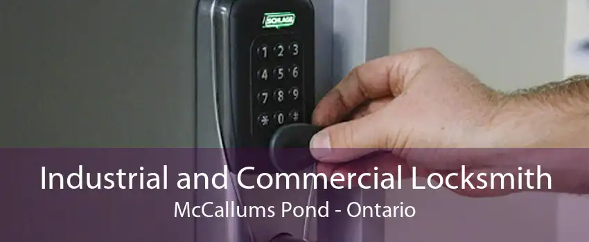 Industrial and Commercial Locksmith McCallums Pond - Ontario