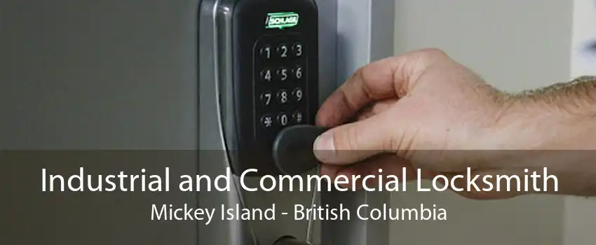 Industrial and Commercial Locksmith Mickey Island - British Columbia