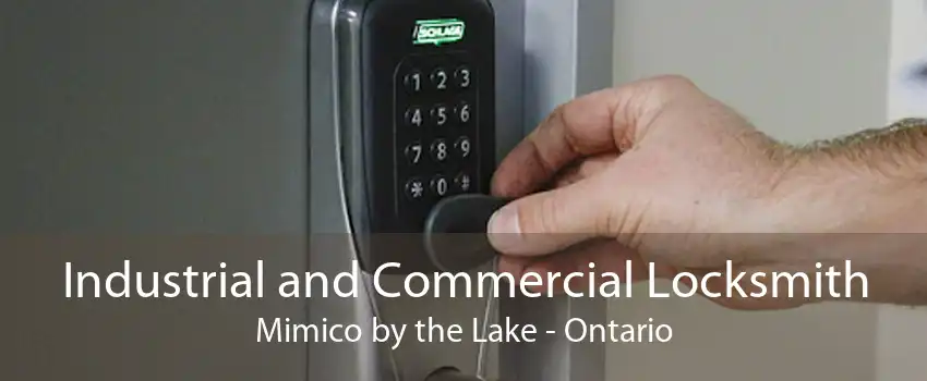 Industrial and Commercial Locksmith Mimico by the Lake - Ontario