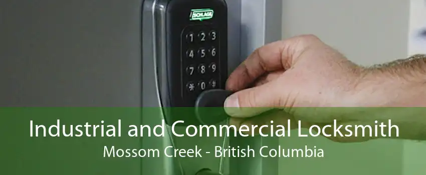 Industrial and Commercial Locksmith Mossom Creek - British Columbia