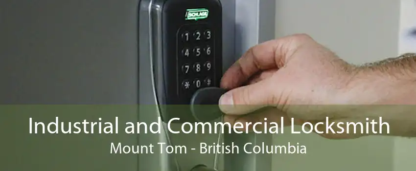 Industrial and Commercial Locksmith Mount Tom - British Columbia