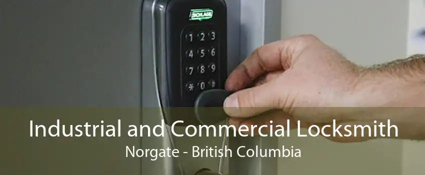 Industrial and Commercial Locksmith Norgate - British Columbia