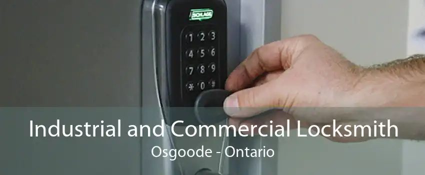 Industrial and Commercial Locksmith Osgoode - Ontario