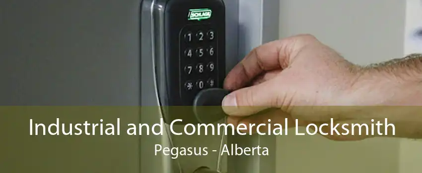 Industrial and Commercial Locksmith Pegasus - Alberta