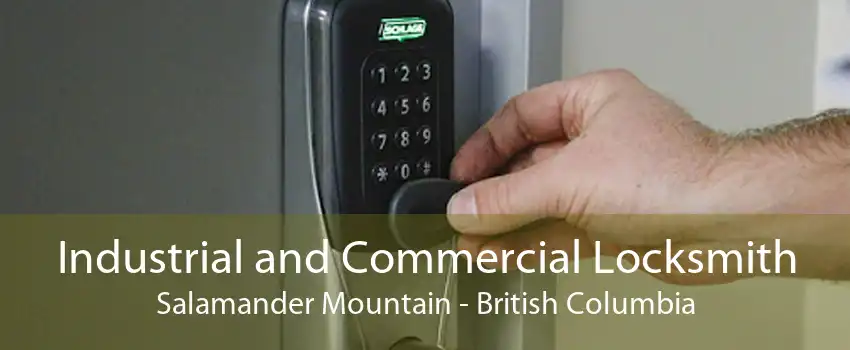 Industrial and Commercial Locksmith Salamander Mountain - British Columbia