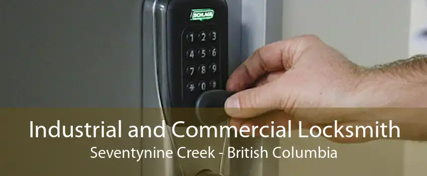 Industrial and Commercial Locksmith Seventynine Creek - British Columbia