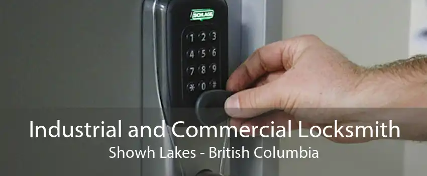 Industrial and Commercial Locksmith Showh Lakes - British Columbia
