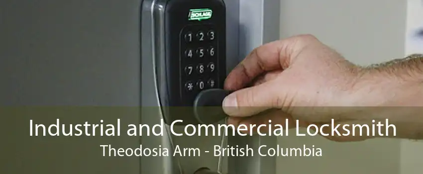 Industrial and Commercial Locksmith Theodosia Arm - British Columbia