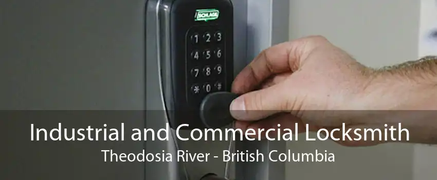 Industrial and Commercial Locksmith Theodosia River - British Columbia