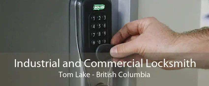 Industrial and Commercial Locksmith Tom Lake - British Columbia