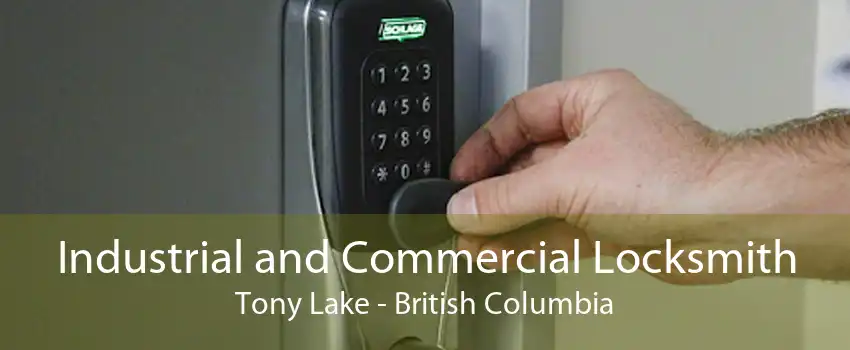 Industrial and Commercial Locksmith Tony Lake - British Columbia
